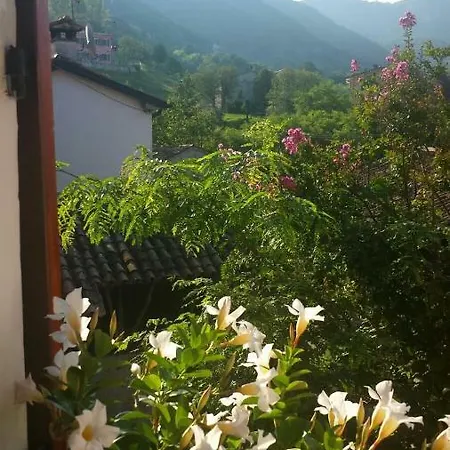 La Tana *